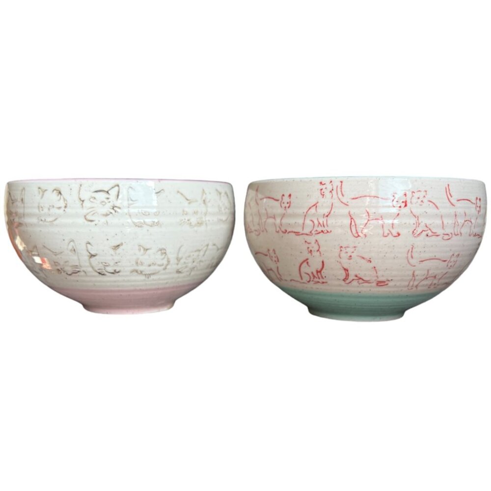 Set: 2 Home Essentials PET Speckled Ceramic Cat Bowls Pink & Aqua 5" x 3"